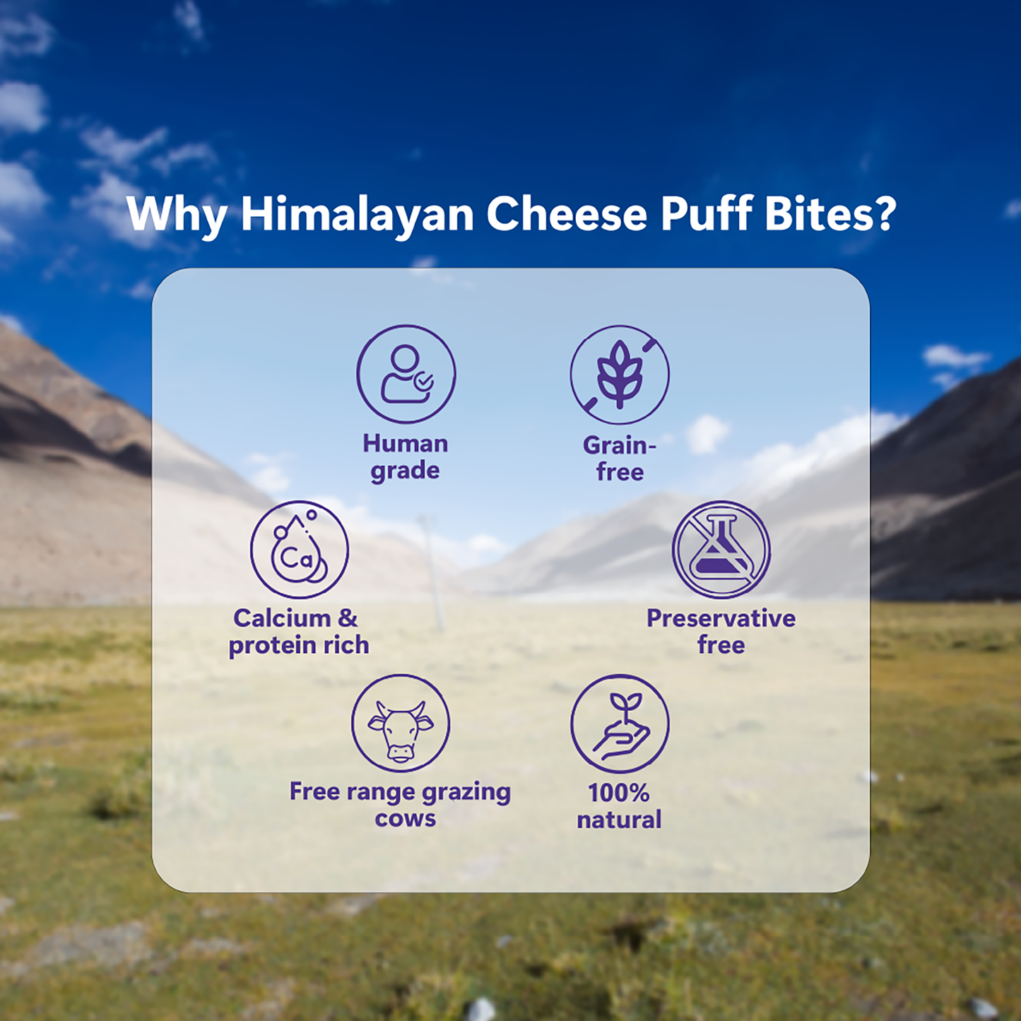 Himalayan Cheese Puffed Treats (Chewy)