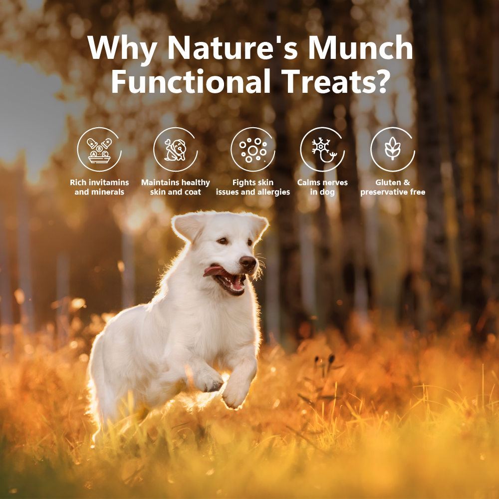 Nature's Munch Functional Dog Treats: Skin Care (75g/2.65oz) (Chewy)