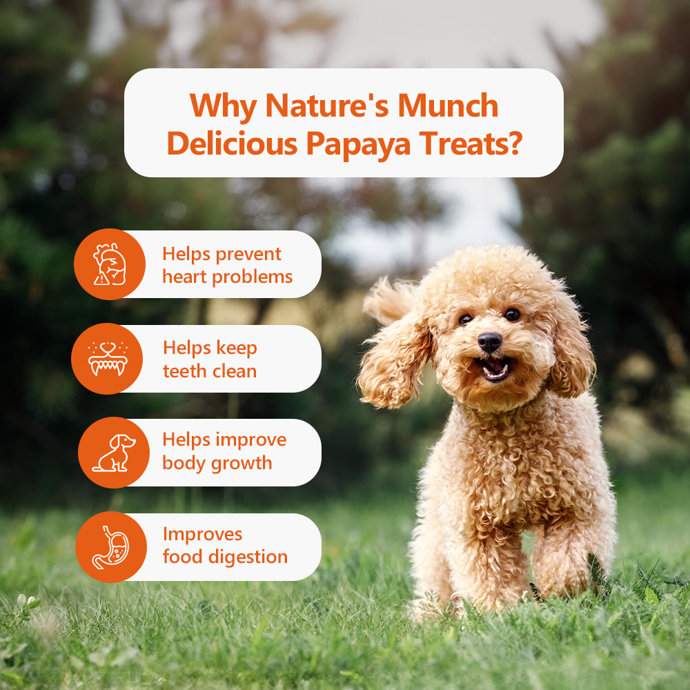 Nature's Munch Single Ingredient Vegan Treats: Papaya (40g/1.41oz)