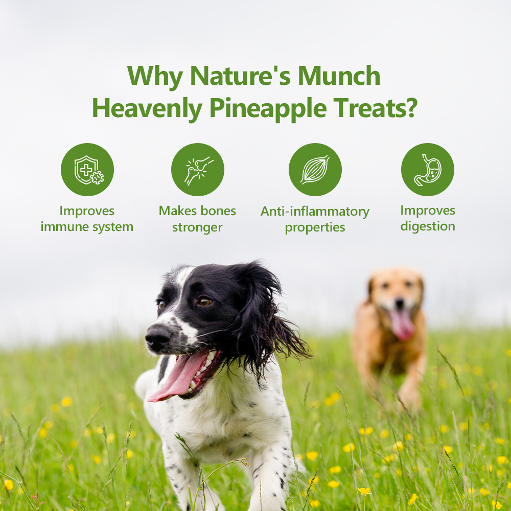 Nature's Munch Single Ingredient Vegan Treats: Pineapple (40g/1.41oz)