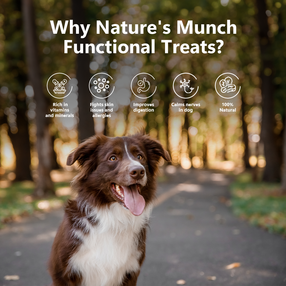 Nature's Munch Functional Dog Treats: Health & Digestion (75g/2.65oz) (Chewy)