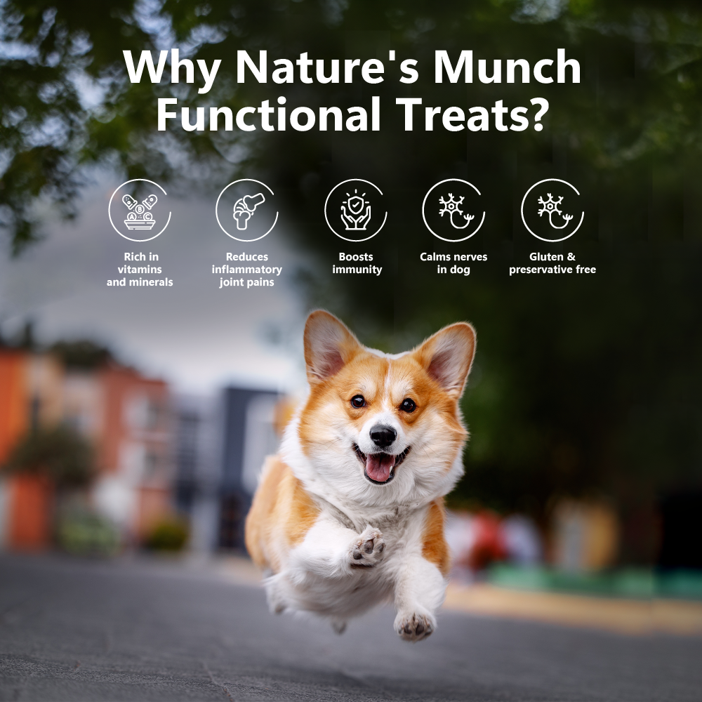 Nature's Munch Functional Dog Treats: Joint Care (75g/2.65oz) (Chewy)