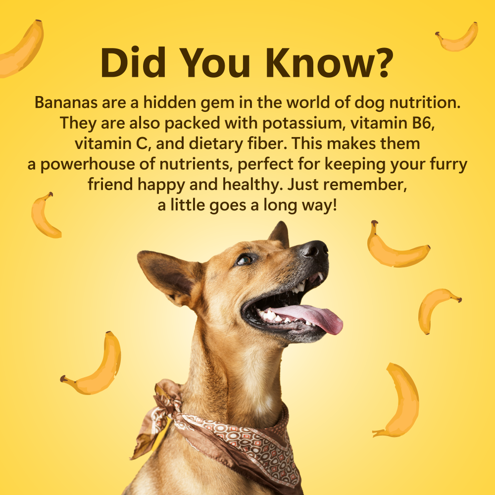 Nature's Munch Single Ingredient Vegan Treats: Banana (60g/1.94oz)