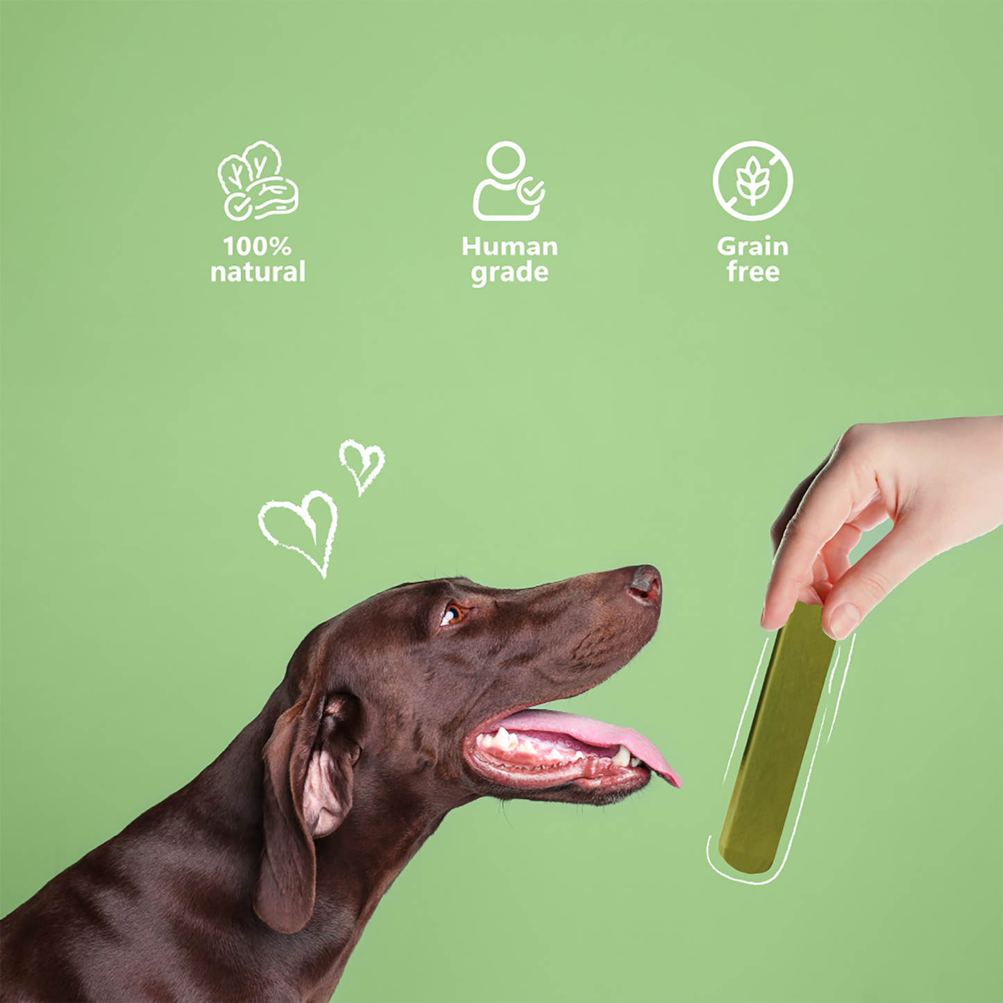 Himalayan Cheese Chew - Dentamust infused with Aloe Vera: Pack of 1 Chew for Large Sized Dogs (140g/4.93oz)