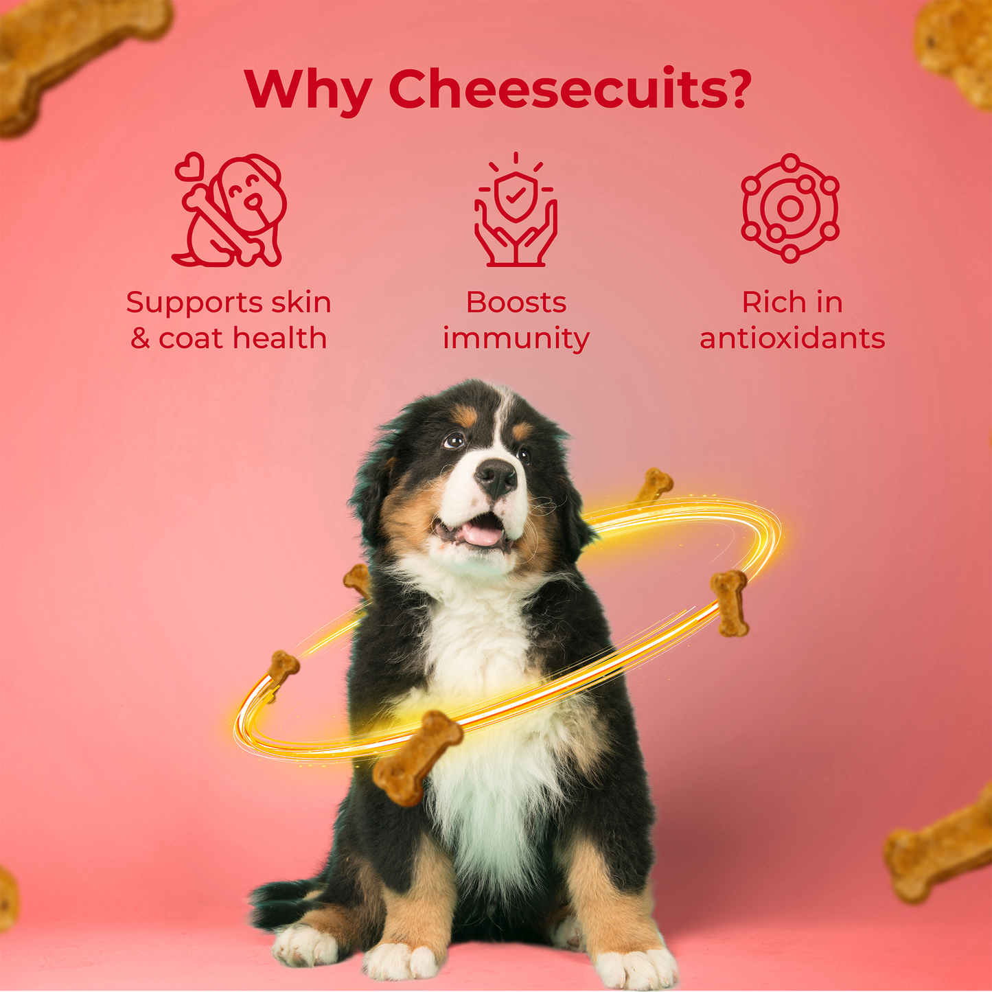 Cheesecuits Cheesy Dog Biscuits with Apple and Cinnamon (100g/3.53oz) (Chewy)