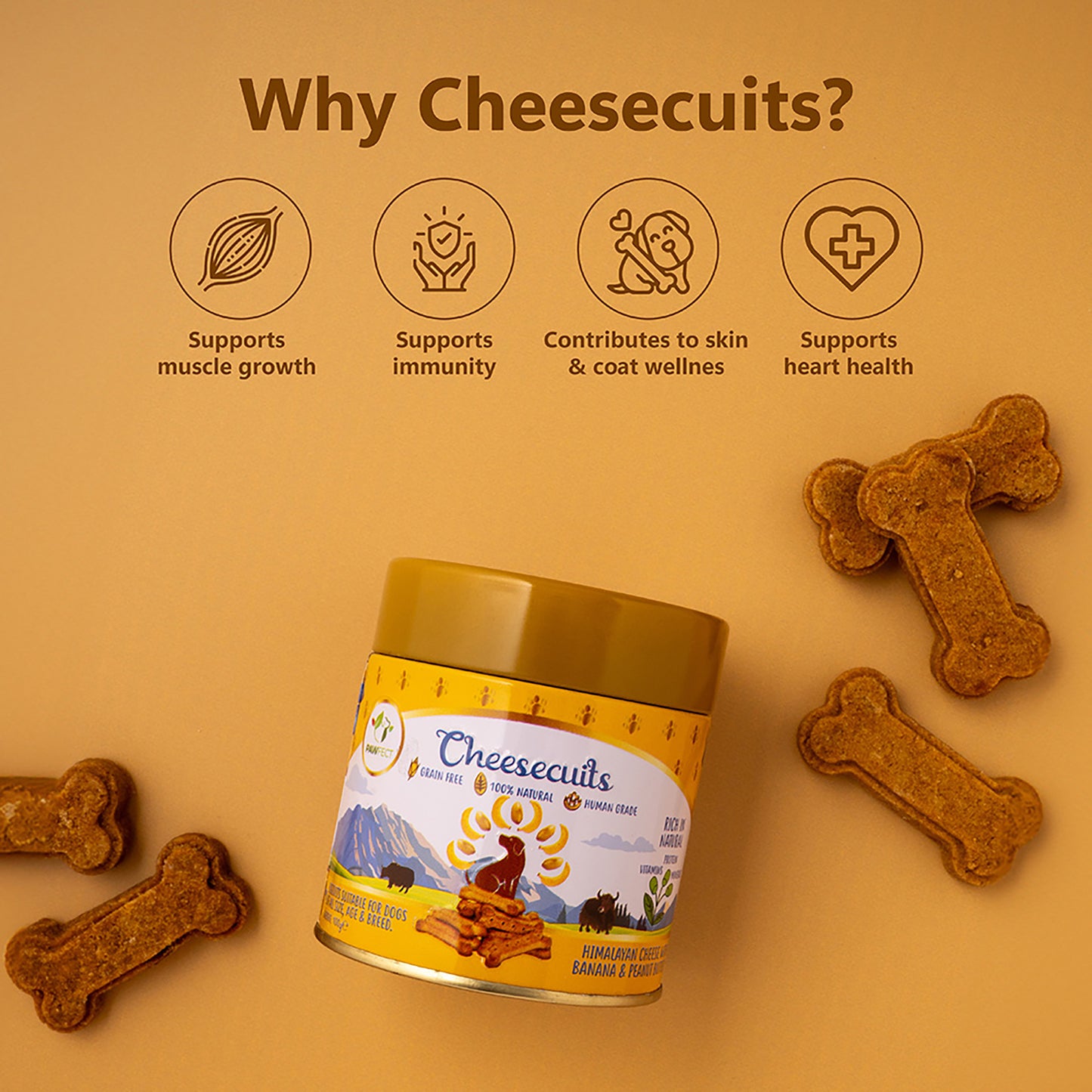 Cheesecuits Cheesy Dog Biscuits with Banana and Peanut Butter (100g/3.53oz) (Chewy)