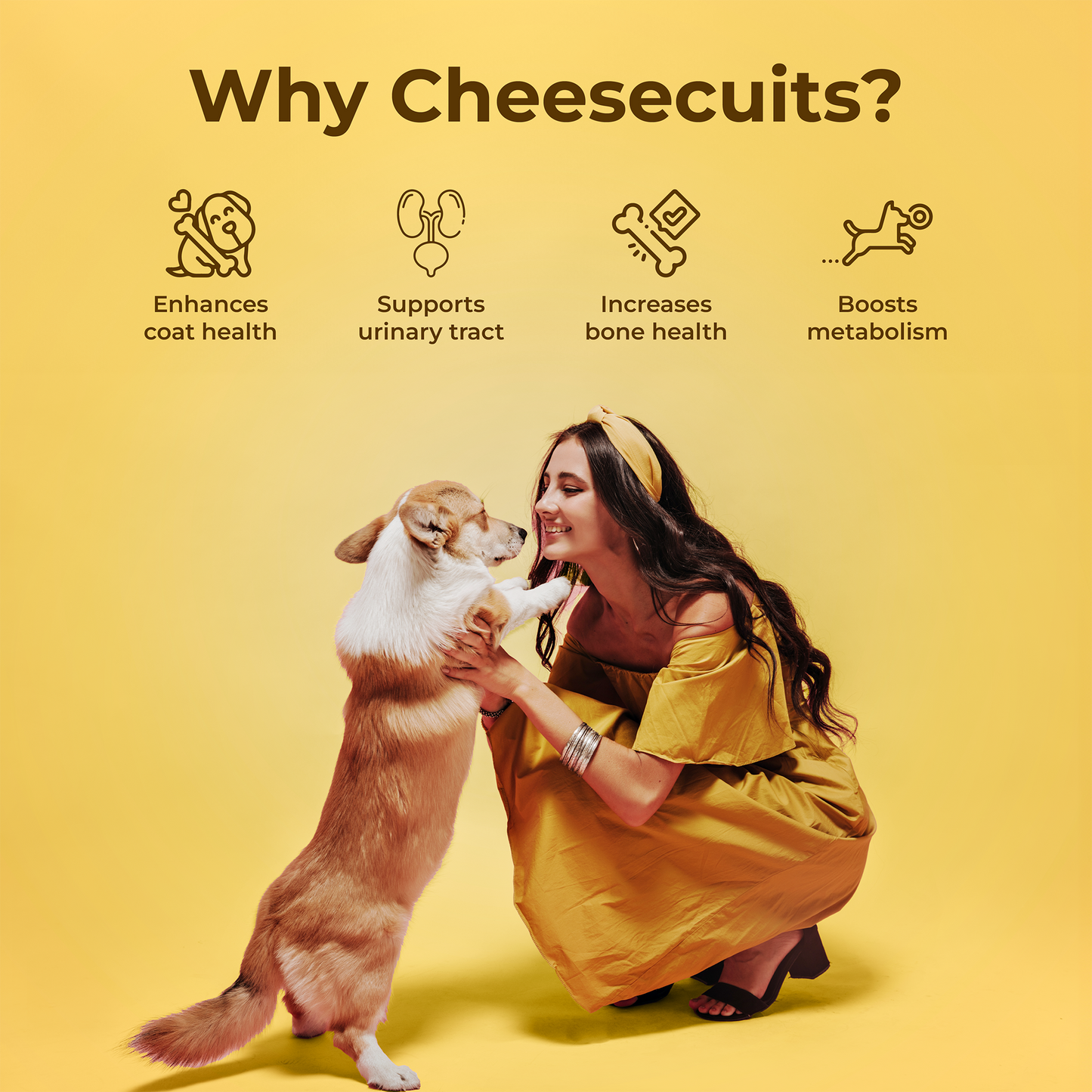 Cheesecuits Cheesy Dog Biscuits with Pineapple and Coconut (100g/3.53oz) (Chewy)