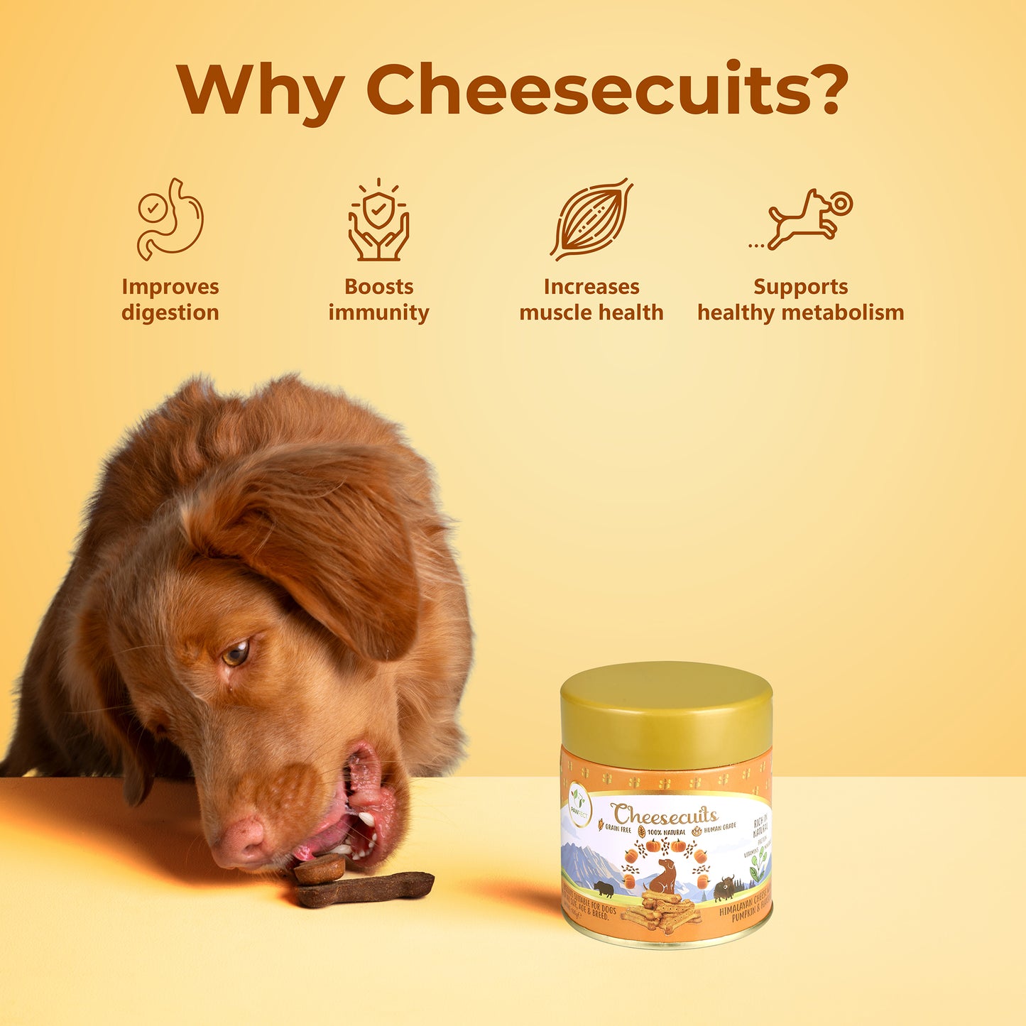 Cheesecuits Cheesy Dog Biscuits with Pumpkin and Flaxseed (100g/3.53oz) (Chewy)