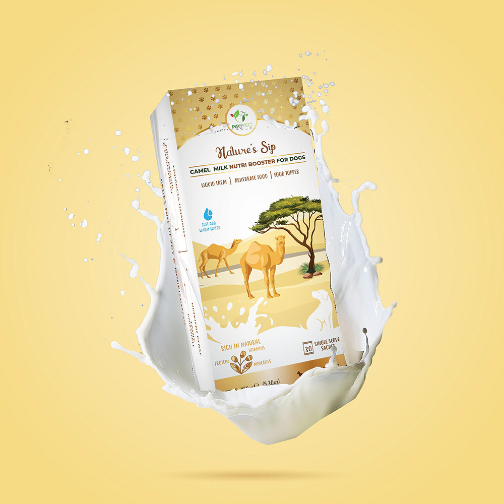 Nature's Sip for Dogs: 100% Camel Milk