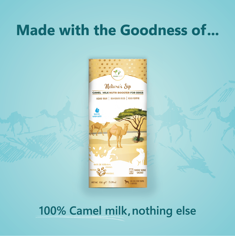 Nature's Sip for Dogs: 100% Camel Milk