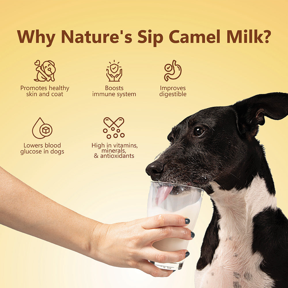 Nature's Sip for Dogs: 100% Camel Milk