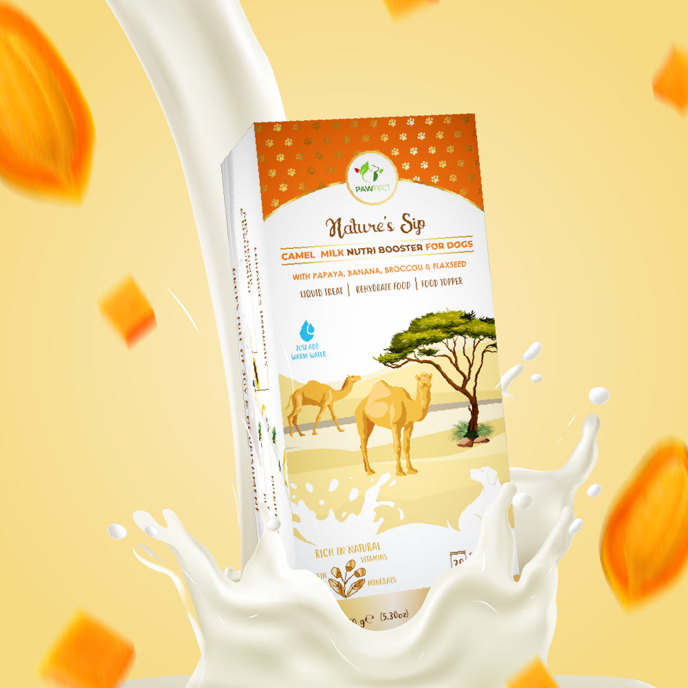 Nature's Sip for Dogs: Camel's Milk with Papaya, Banana, Broccoli & Flaxseed