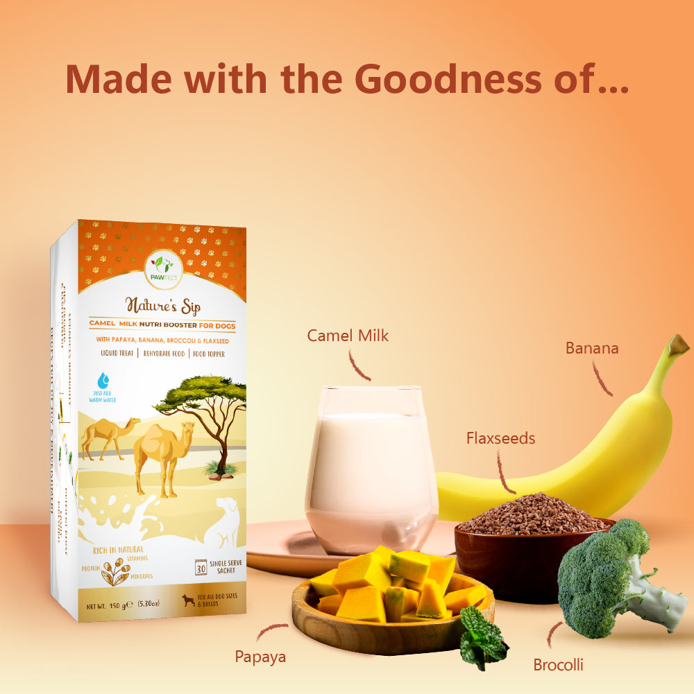 Nature's Sip for Dogs: Camel's Milk with Papaya, Banana, Broccoli & Flaxseed