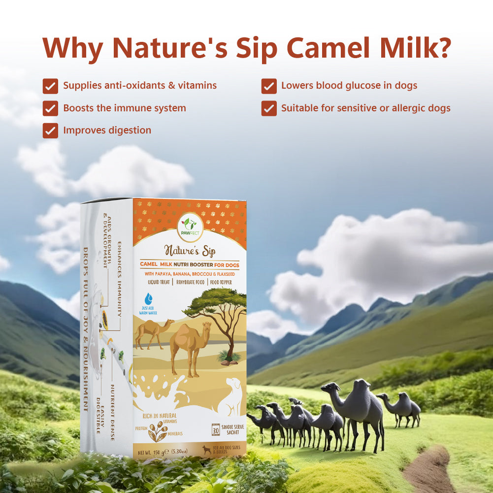 Nature's Sip for Dogs: Camel's Milk with Papaya, Banana, Broccoli & Flaxseed