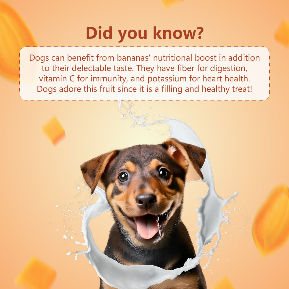 Nature's Sip for Dogs: Camel's Milk with Papaya, Banana, Broccoli & Flaxseed