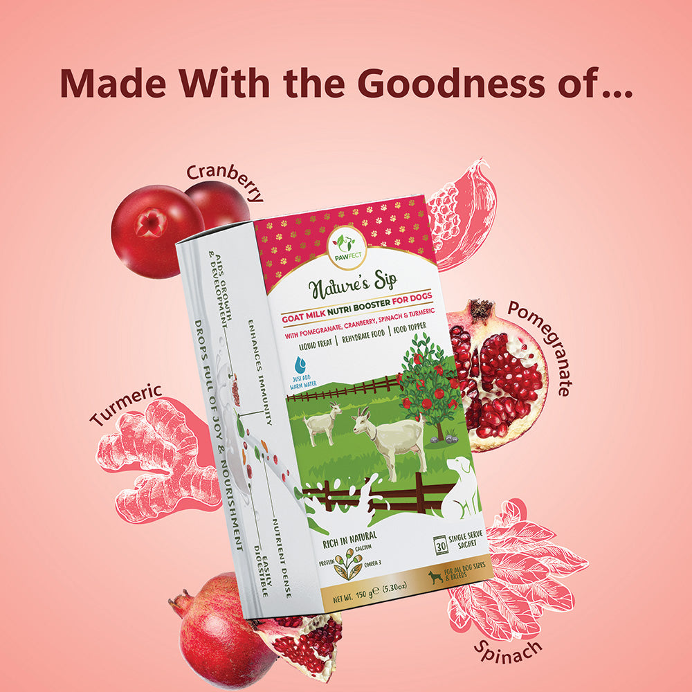 Nature's Sip for Dogs: Goat's Milk with Pomegranate & Cranberry