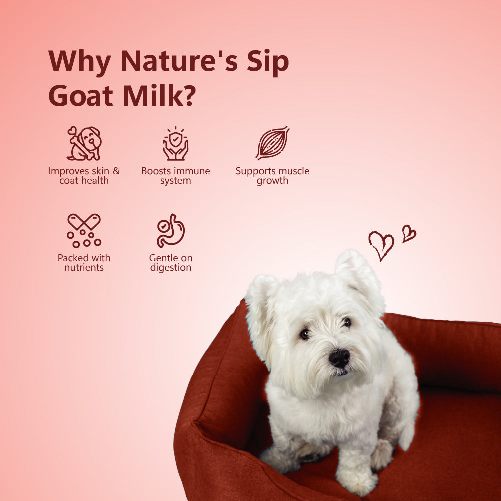 Nature's Sip for Dogs: Goat's Milk with Pomegranate & Cranberry