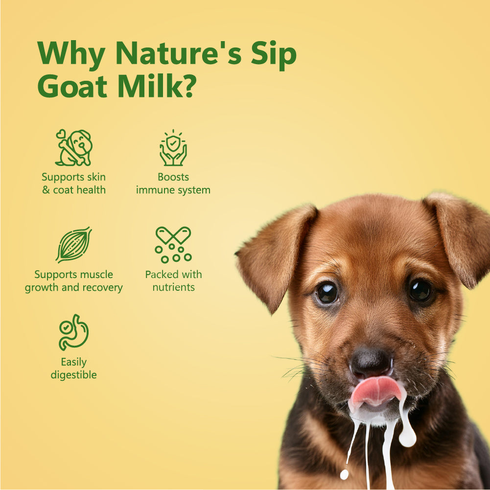 Nature's Sip for Dogs: Goat's Milk with Pumpkin, Pumpkin Seeds, Apple & Cinnamon