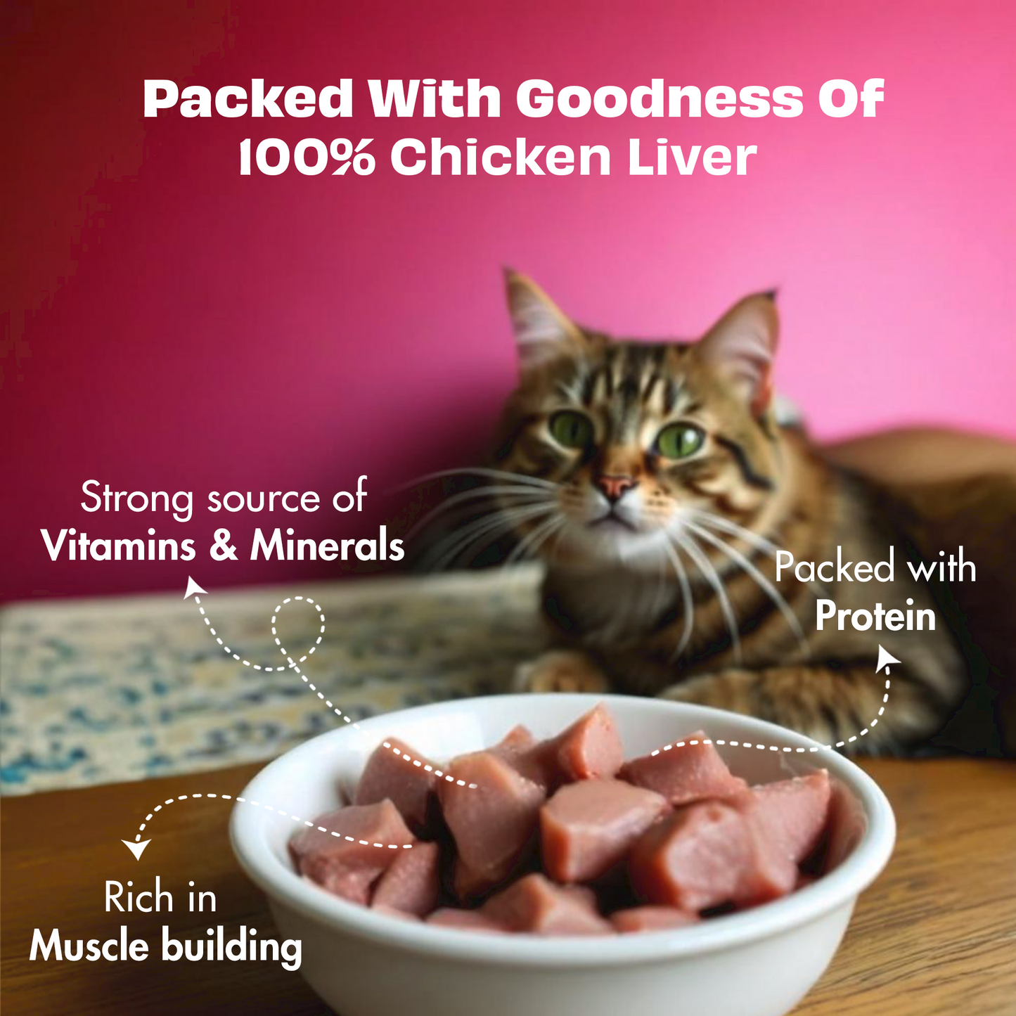 Nature's Feast Freeze Dried Cat Treats: Chicken Liver