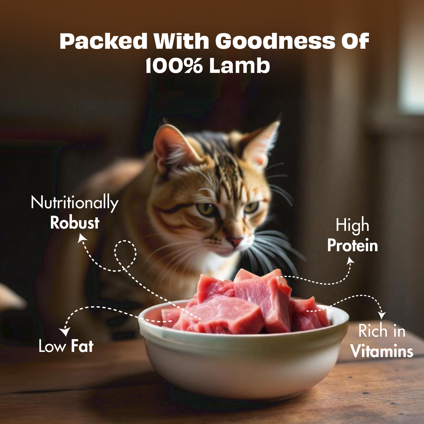 Nature's Feast Freeze Dried Cat Treats: Lamb Meat (50g/1.76oz) (Chewy)