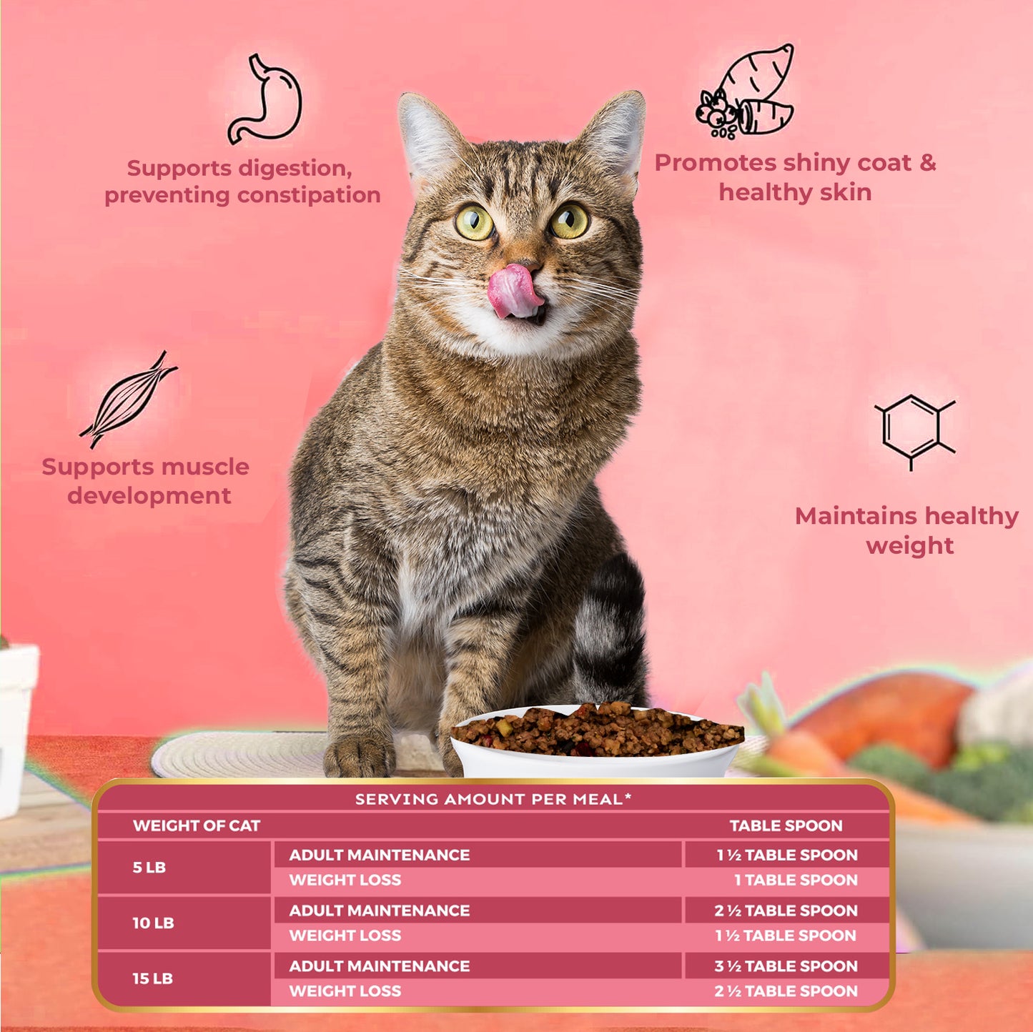 Nature's Kitchen Complete and Balanced Grain Free Cat Food: Chicken Recipe