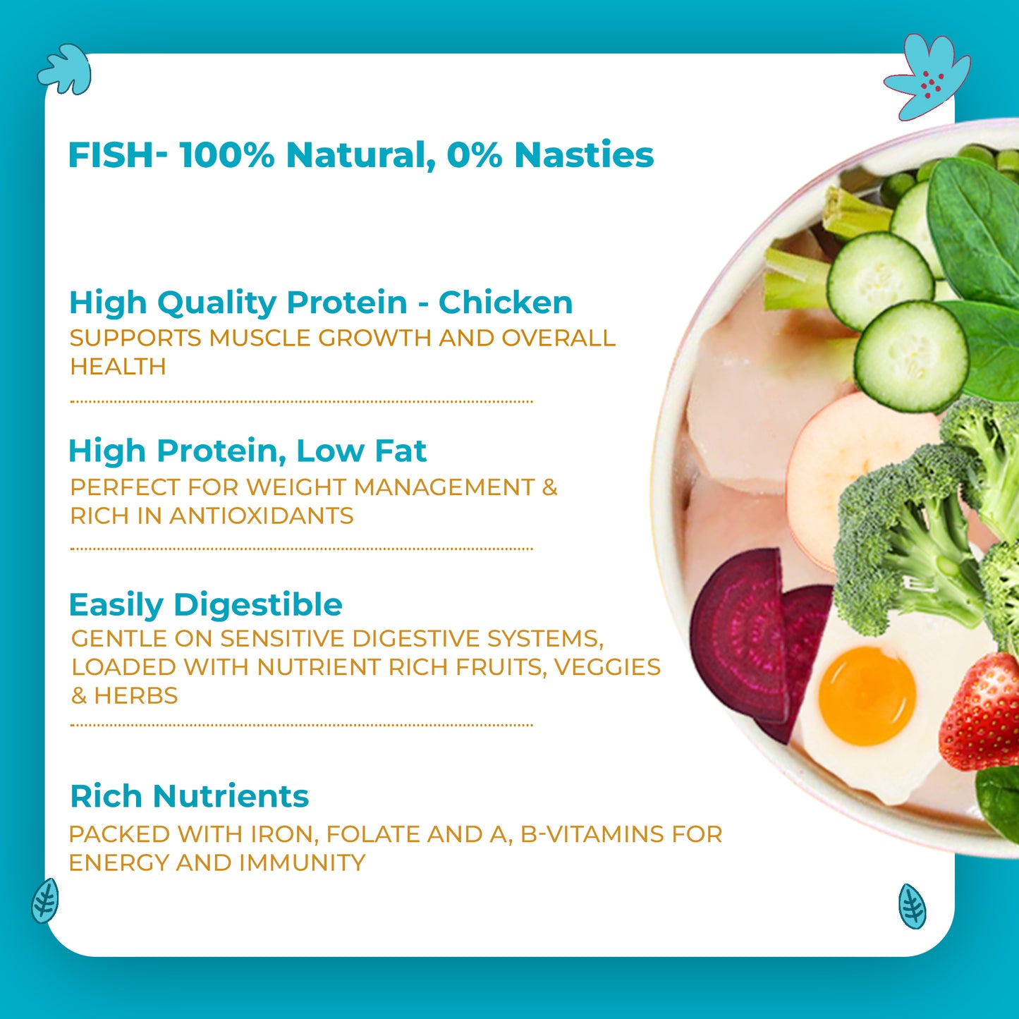 Nature's Kitchen Complete and Balanced Grain Free Cat Food: Fish Recipe