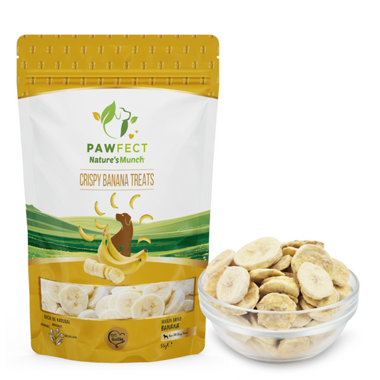Nature's Munch Single Ingredient Vegan Treats: Banana (60g/1.94oz)