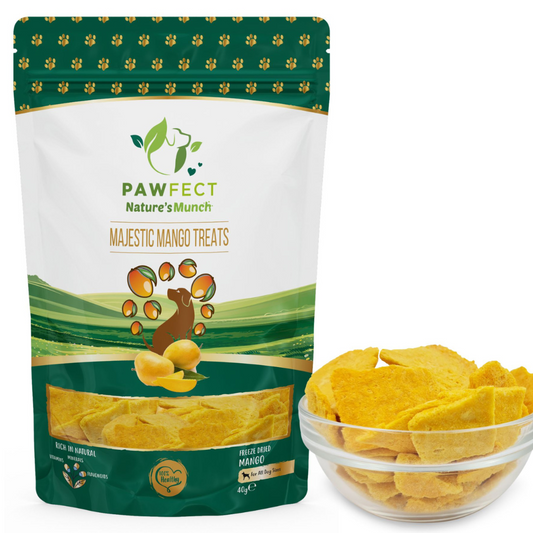 Nature's Munch Single Ingredient Vegan Treats: Mango (40g/1.41oz)