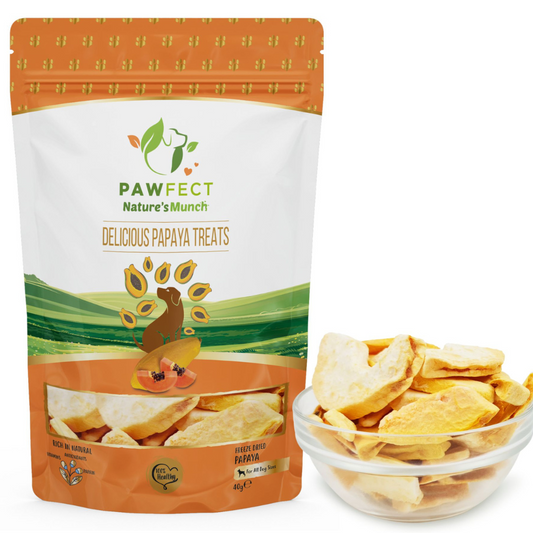Nature's Munch Single Ingredient Vegan Treats: Papaya (40g/1.41oz)