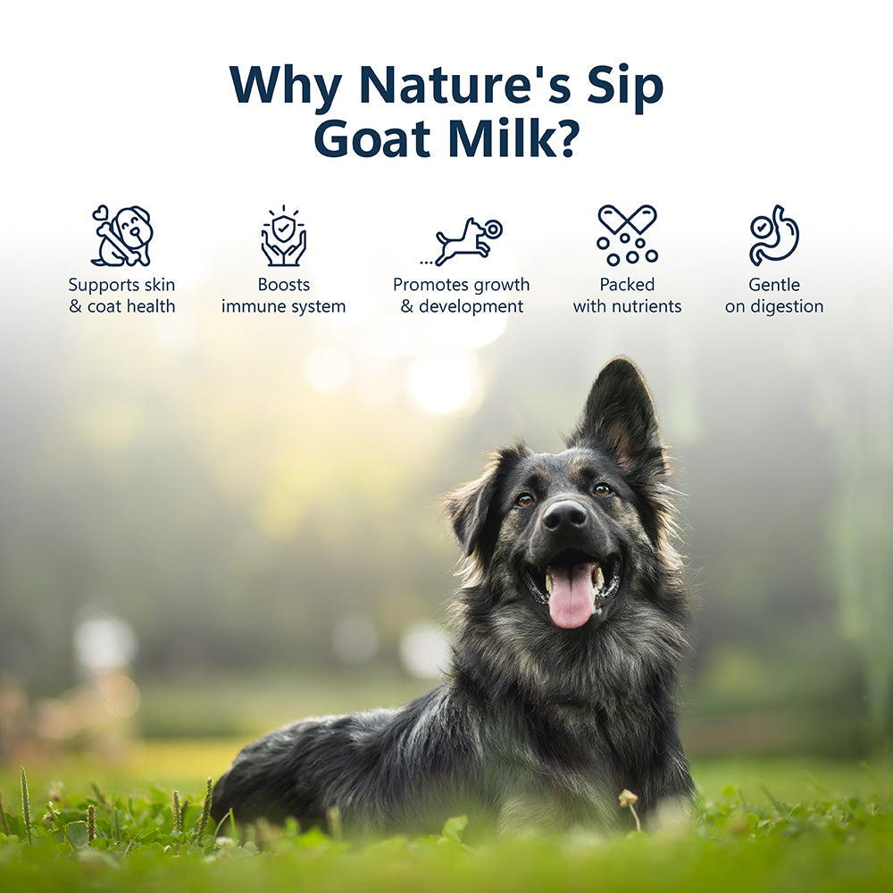 Nature's Sip for Dogs: 100% Goat Milk