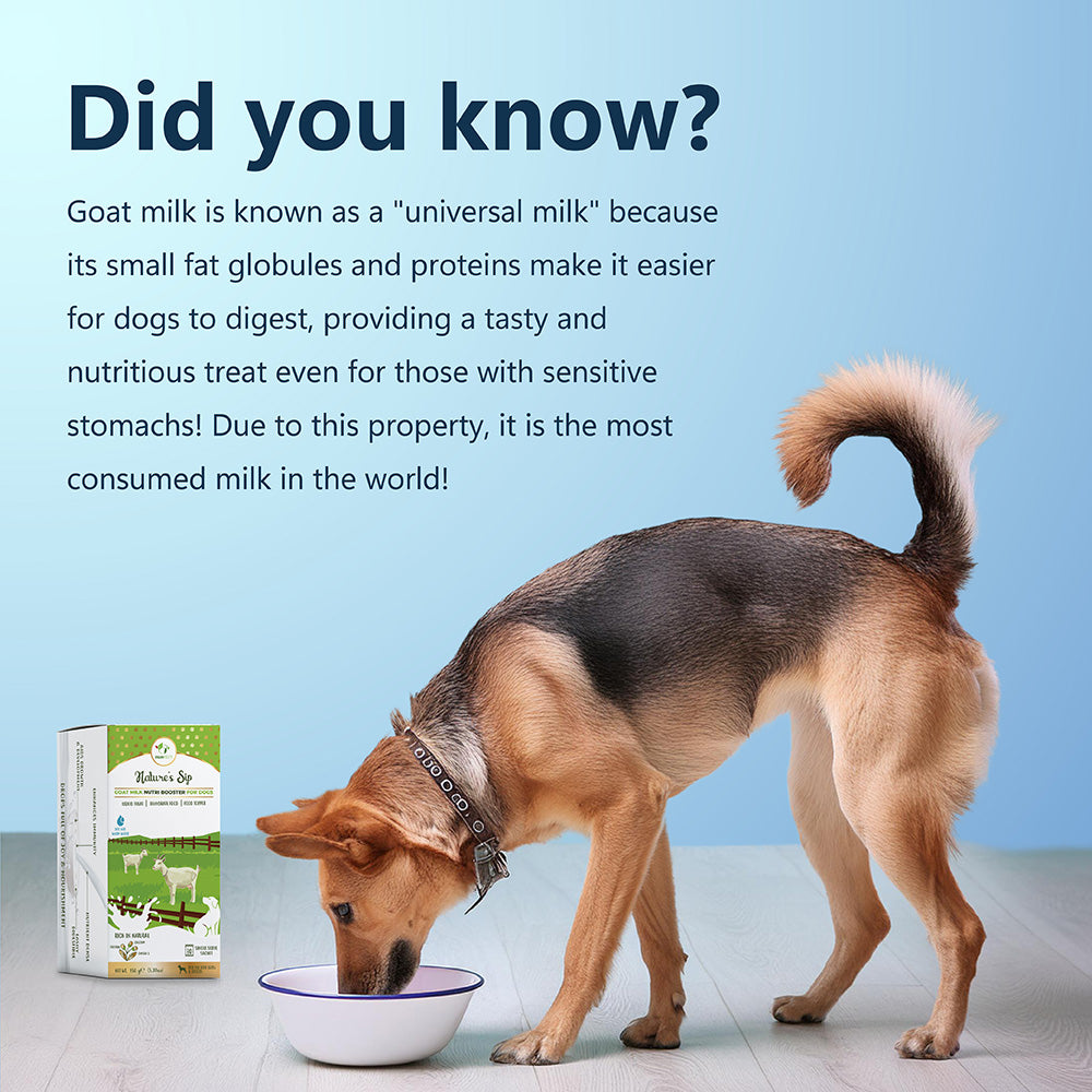 Nature's Sip for Dogs: 100% Goat Milk