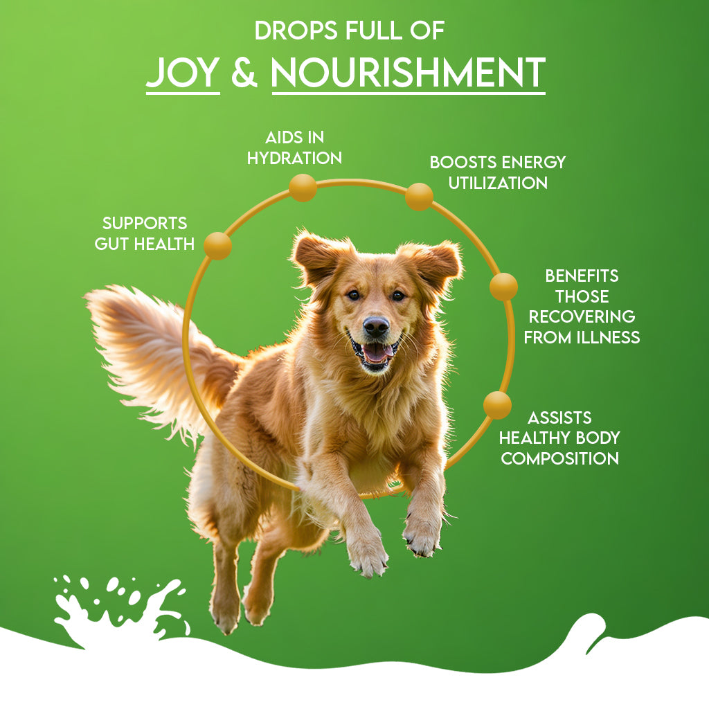 Nature's Sip for Dogs: 100% Goat Milk
