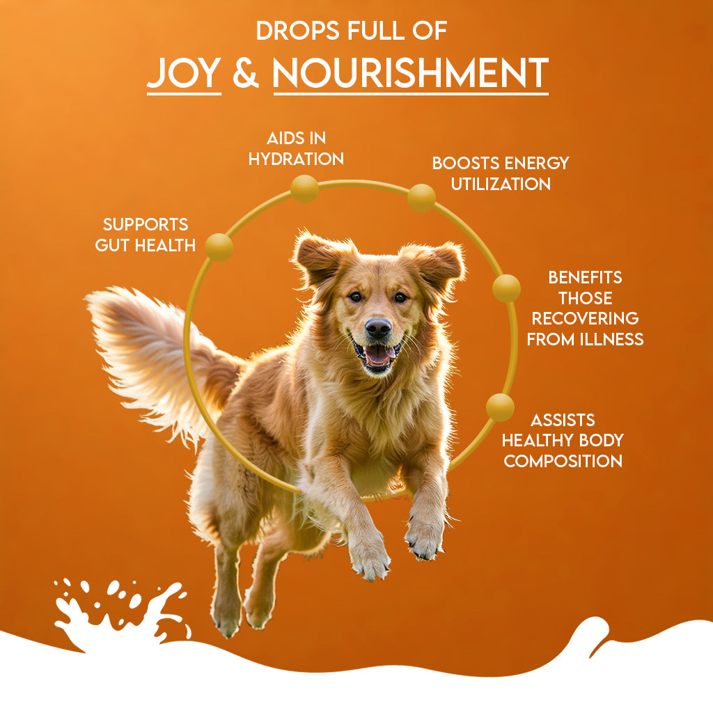 Nature's Sip for Dogs: Goat's Milk with Pumpkin, Pumpkin Seeds, Apple & Cinnamon