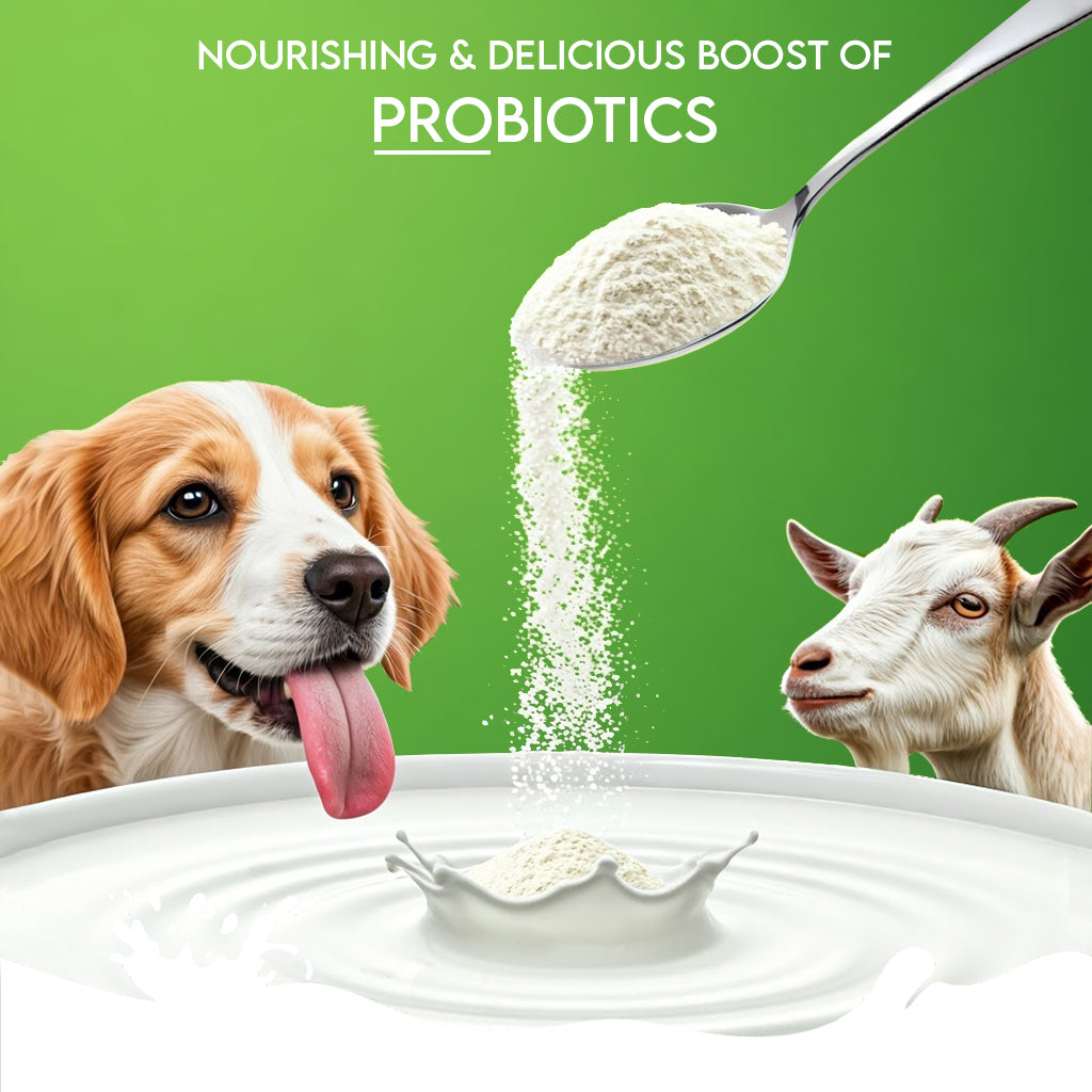 Nature's Sip for Dogs: 100% Goat Milk