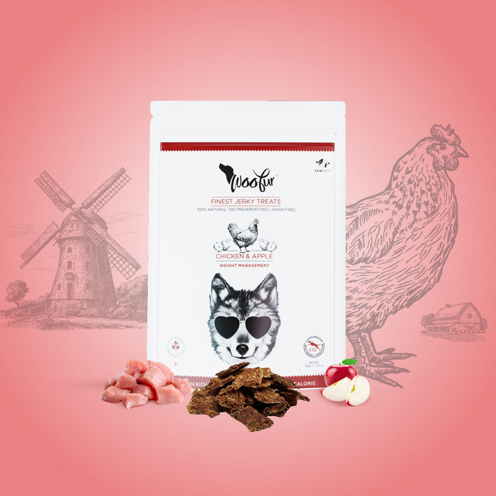 Woofur Jerky Treats: Chicken & Apple (50g/1.76oz)