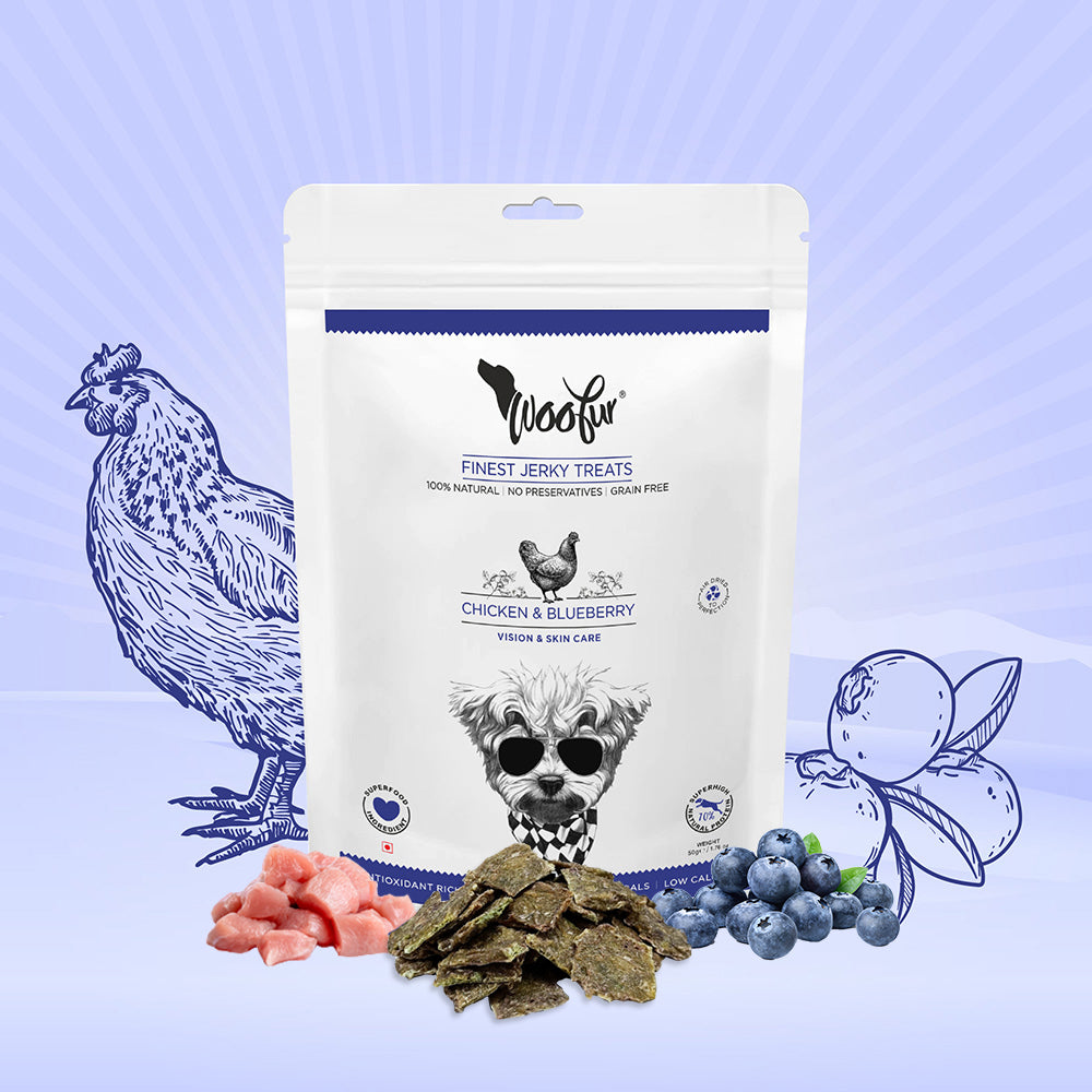 Woofur Jerky Treats: Chicken & Bluberries (50g/1.76oz) (Chewy)