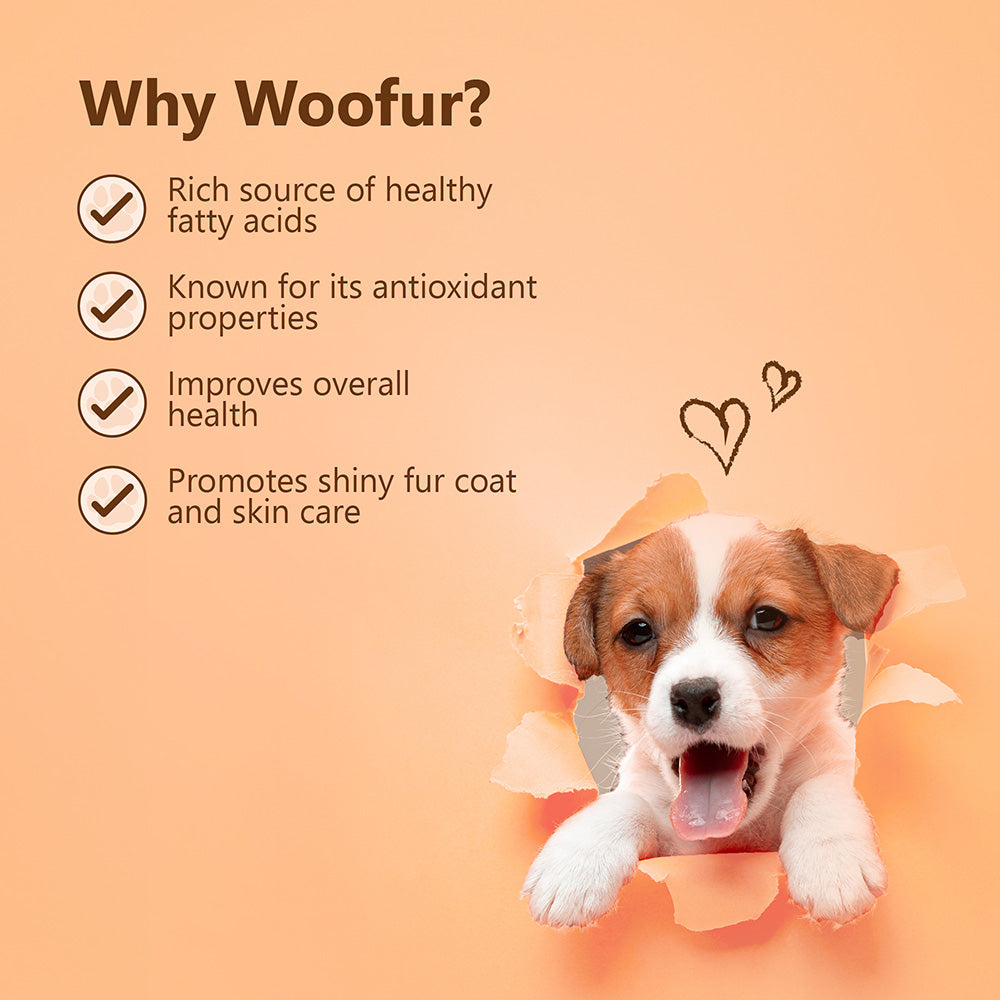 Woofur Jerky Treats: Chicken & Coconut (50g/1.76oz)