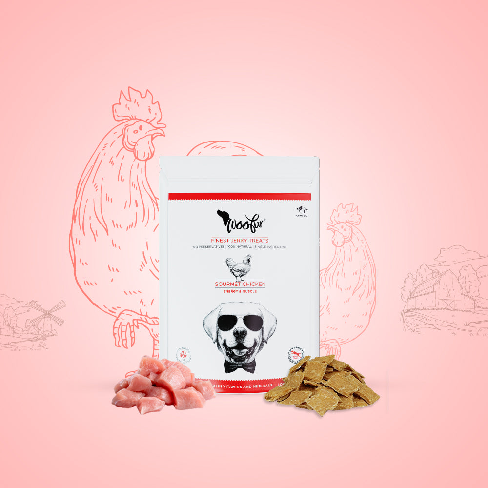 Woofur Jerky Treats: Gourmet Chicken (50g/1.76oz) (Chewy)