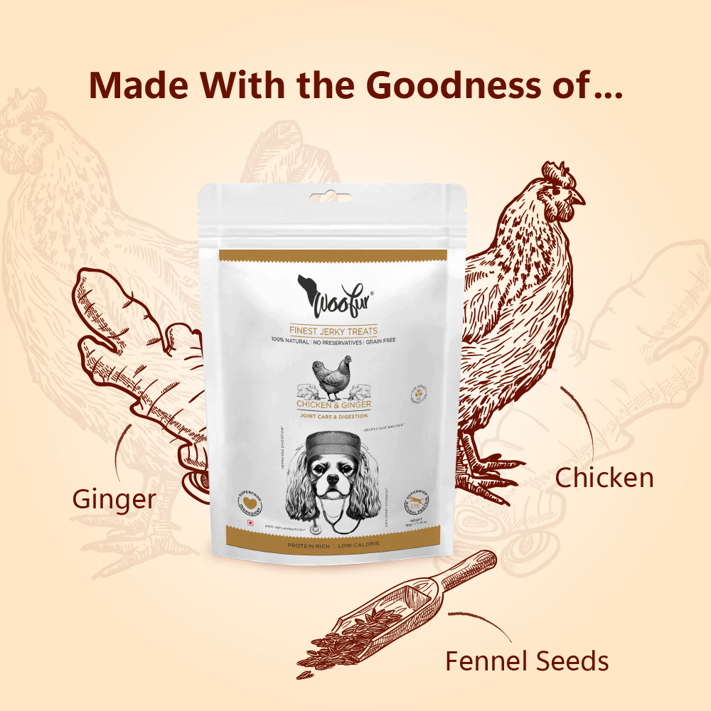 Woofur Jerky Treats: Chicken & Ginger (50g/1.76oz) (Chewy)