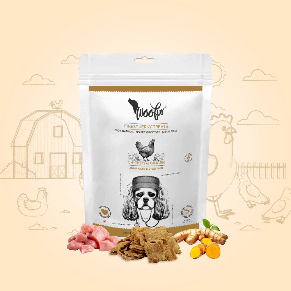 Woofur Jerky Treats: Chicken & Ginger (50g/1.76oz) (Chewy)