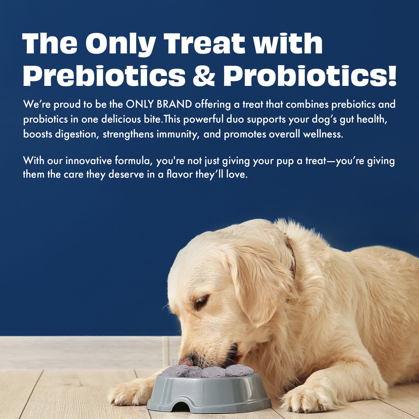 Yogurt Melties Prebiotic and Probiotic Dog Treats: Blueberry & Yogurt (38g/1.34oz)