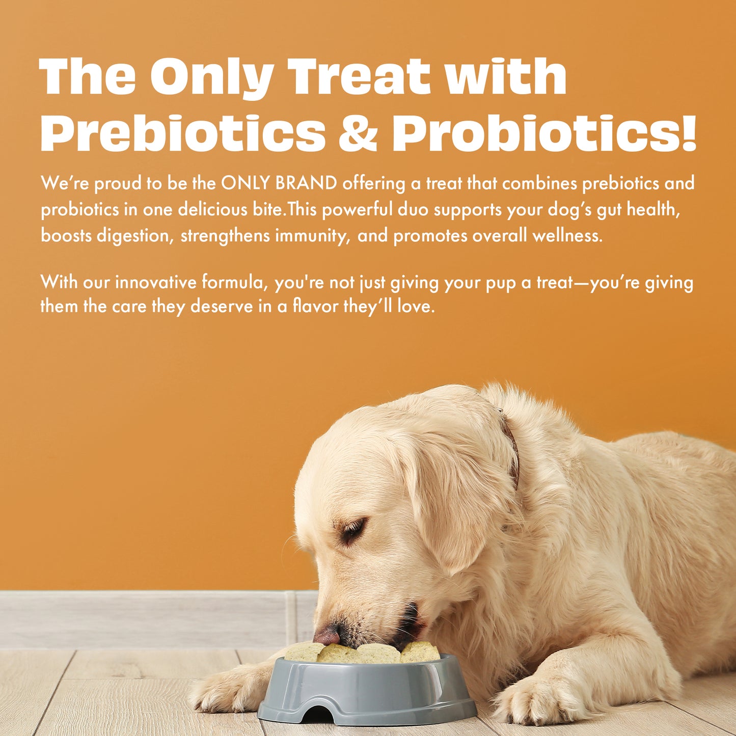 Yogurt Melties Prebiotic and Probiotic Dog Treats: Carrot & Yogurt (38g/1.34oz)