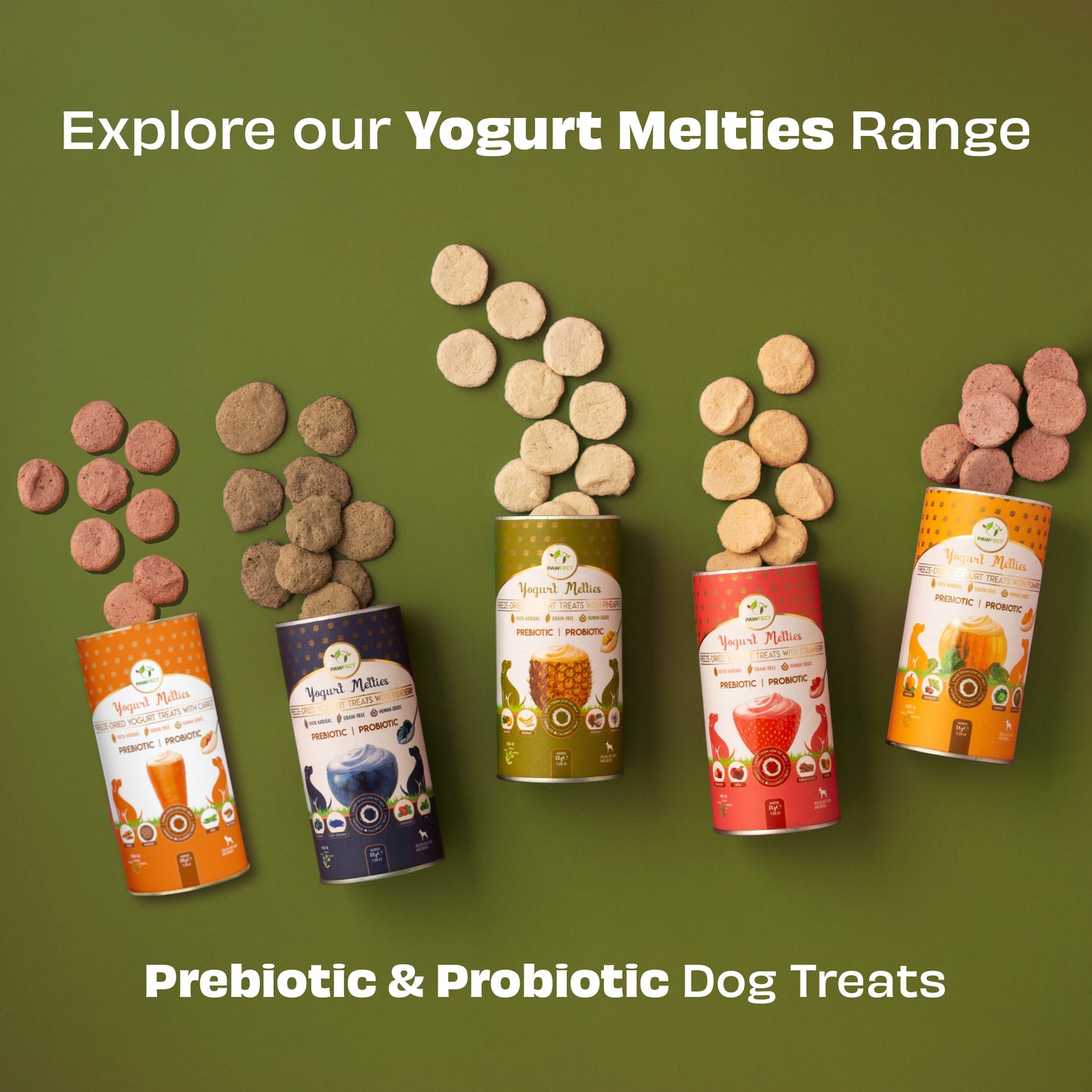 Yogurt Melties Prebiotic and Probiotic Dog Treats: Pineapple & Yogurt (38g/1.34oz)