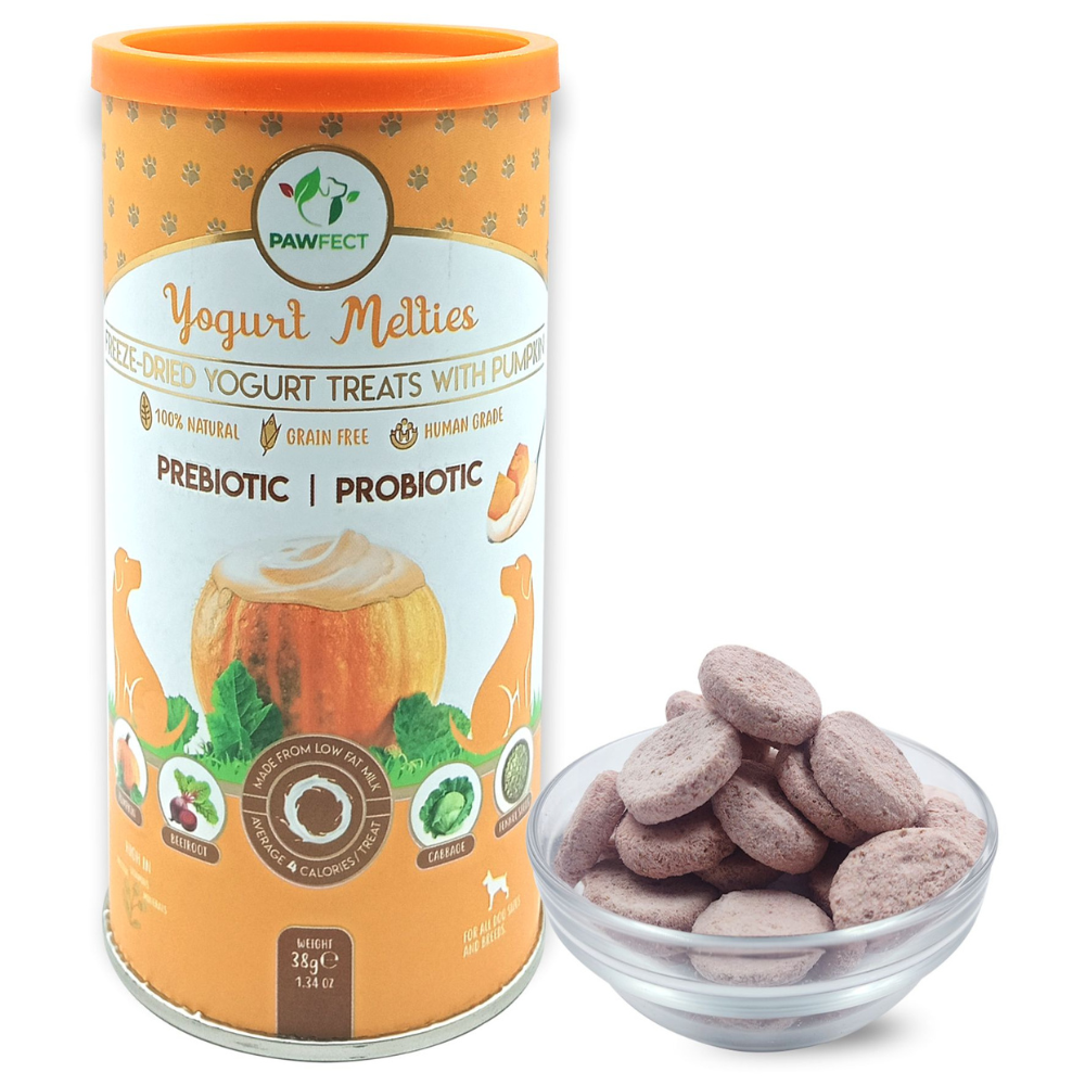 Yogurt Melties Prebiotic and Probiotic Dog Treats: Pumpkin & Yogurt (38g/1.34oz)