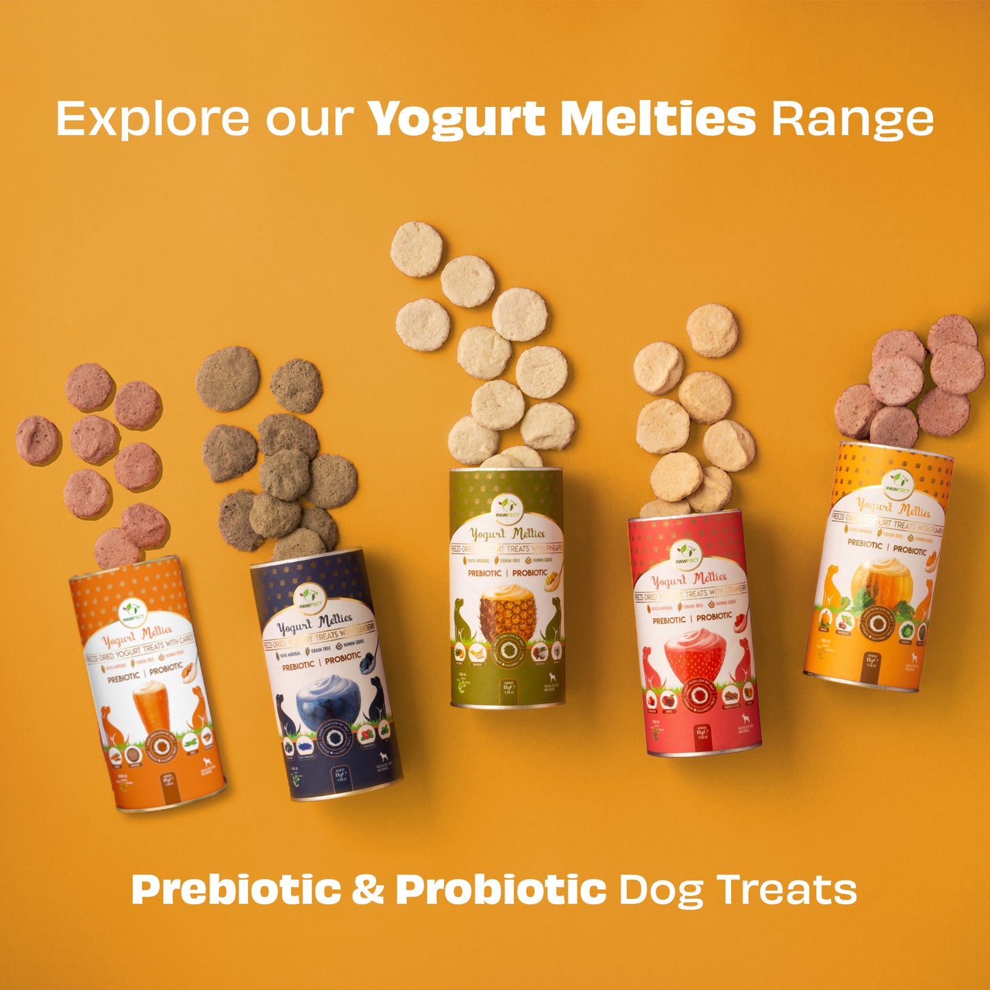 Yogurt Melties Prebiotic and Probiotic Dog Treats: Pumpkin & Yogurt (38g/1.34oz)