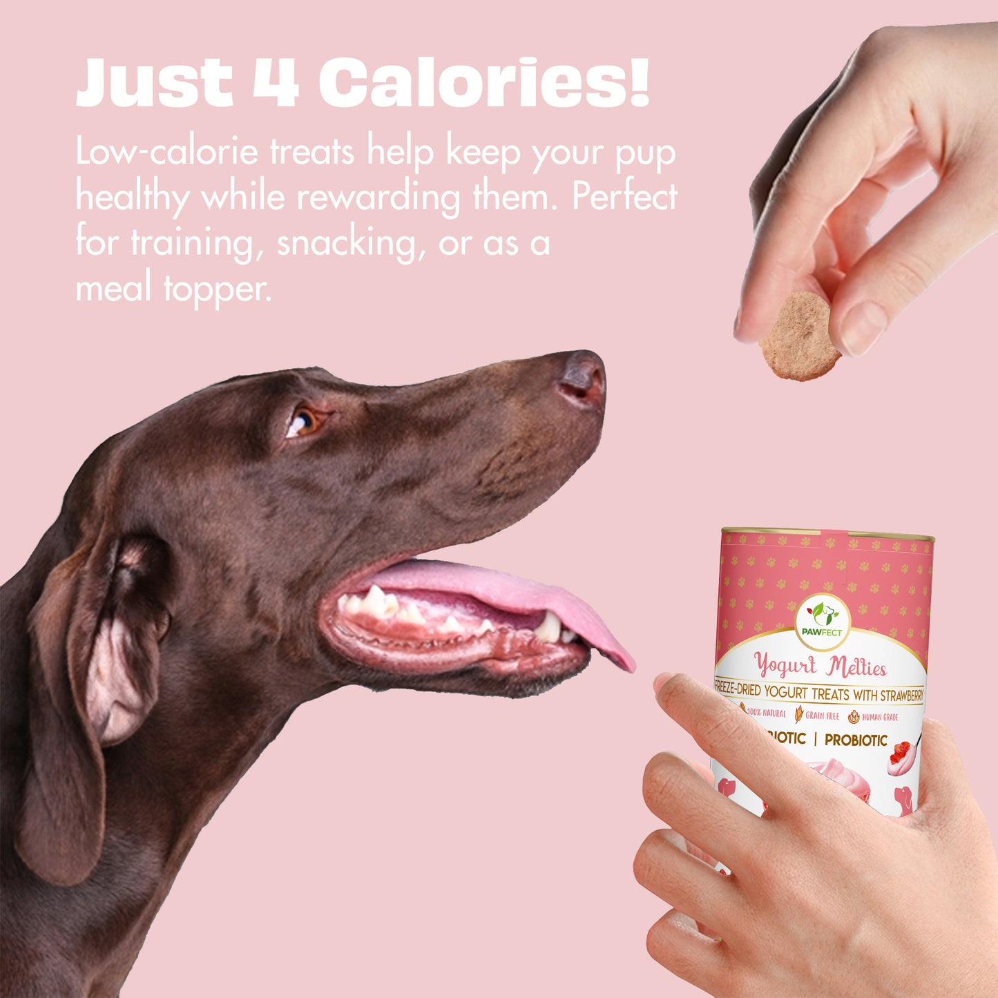 Yogurt Melties Prebiotic and Probiotic Dog Treats: Strawberry & Yogurt (38g/1.34oz)