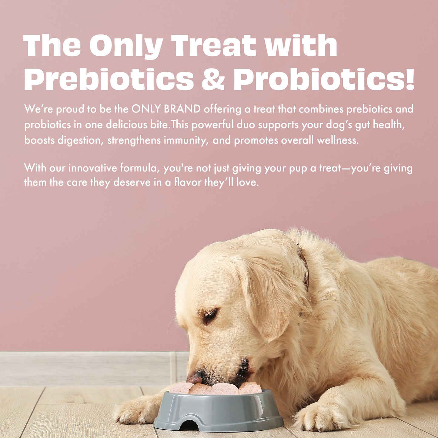 Yogurt Melties Prebiotic and Probiotic Dog Treats: Strawberry & Yogurt (38g/1.34oz)