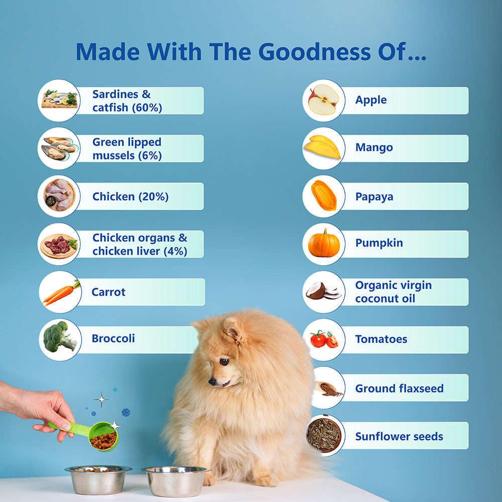 Nature's Kitchen Complete and Balanced Grain Free Dog Food: Fish Recipe