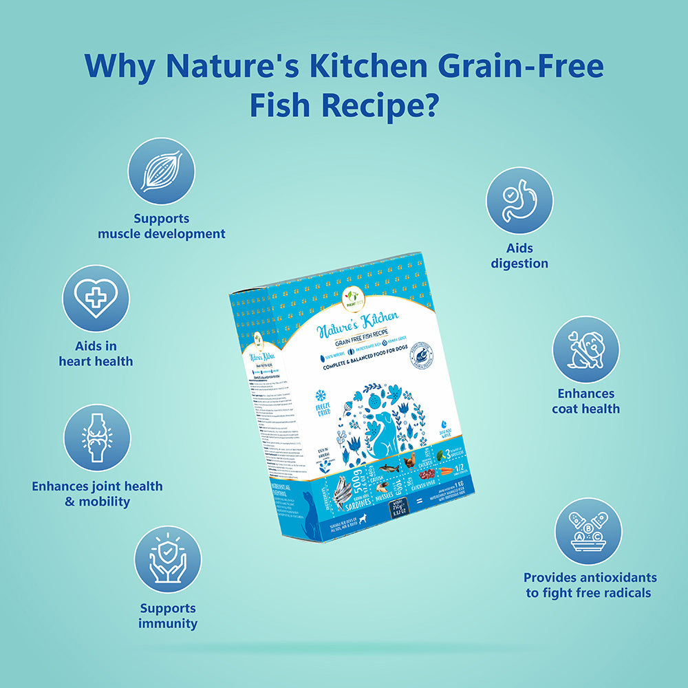 Nature's Kitchen Complete and Balanced Grain Free Dog Food: Fish Recipe