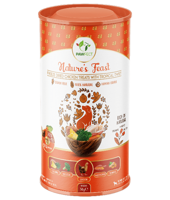 Nature's Feast - Freeze Dried Chicken Treats with Tropical Twist for Dogs